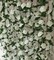 8pcs 65.6Ft Flower Garland, Fake Rose Vine Artificial Flowers Hanging Rose Ivy Garland for Room Wall Decor Hanging Baskets Wedding Arch Garden Background Decor (White-8PCS)